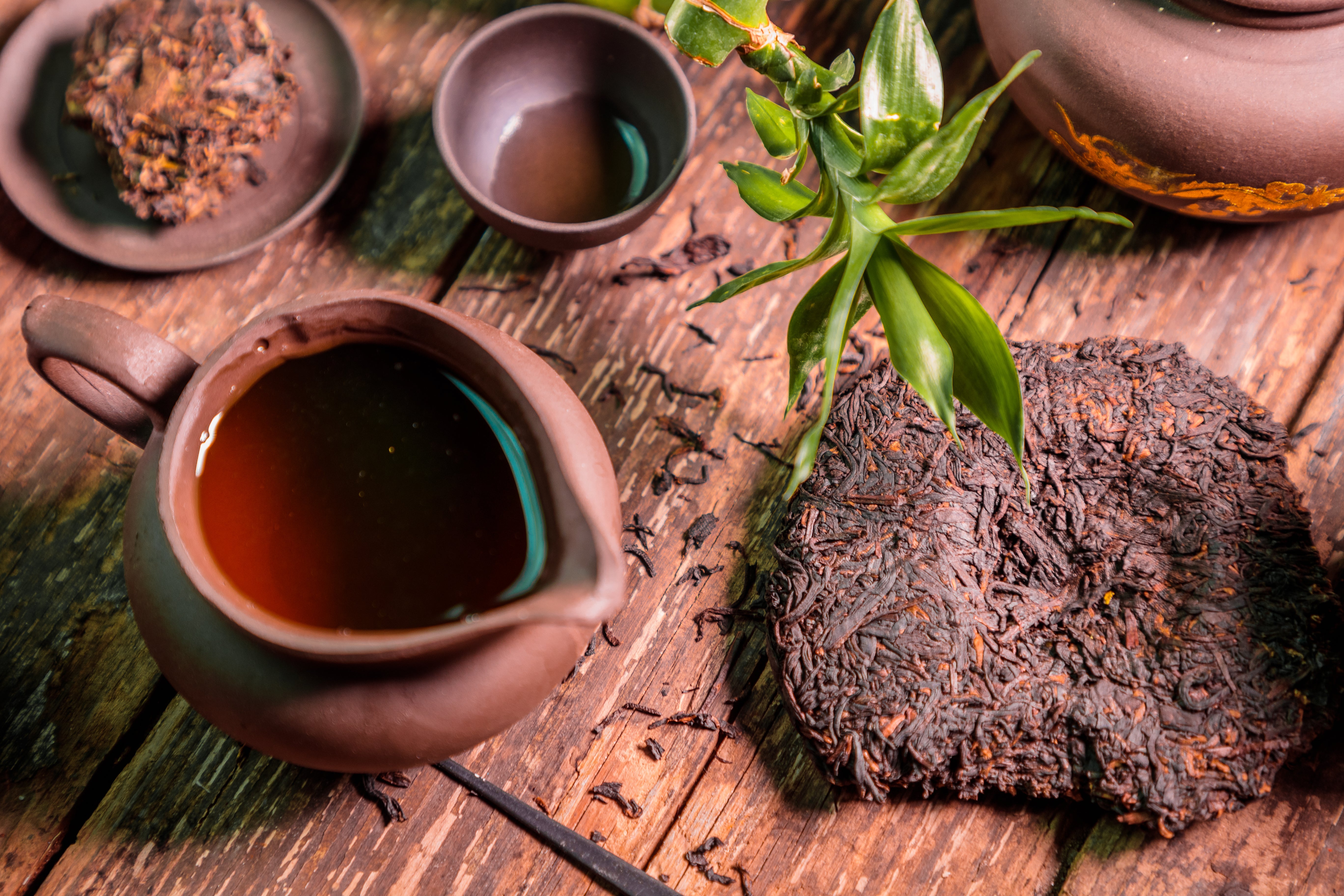 Gut Health Hero – Pau D’Arco Bark for Gentle Digestive Support