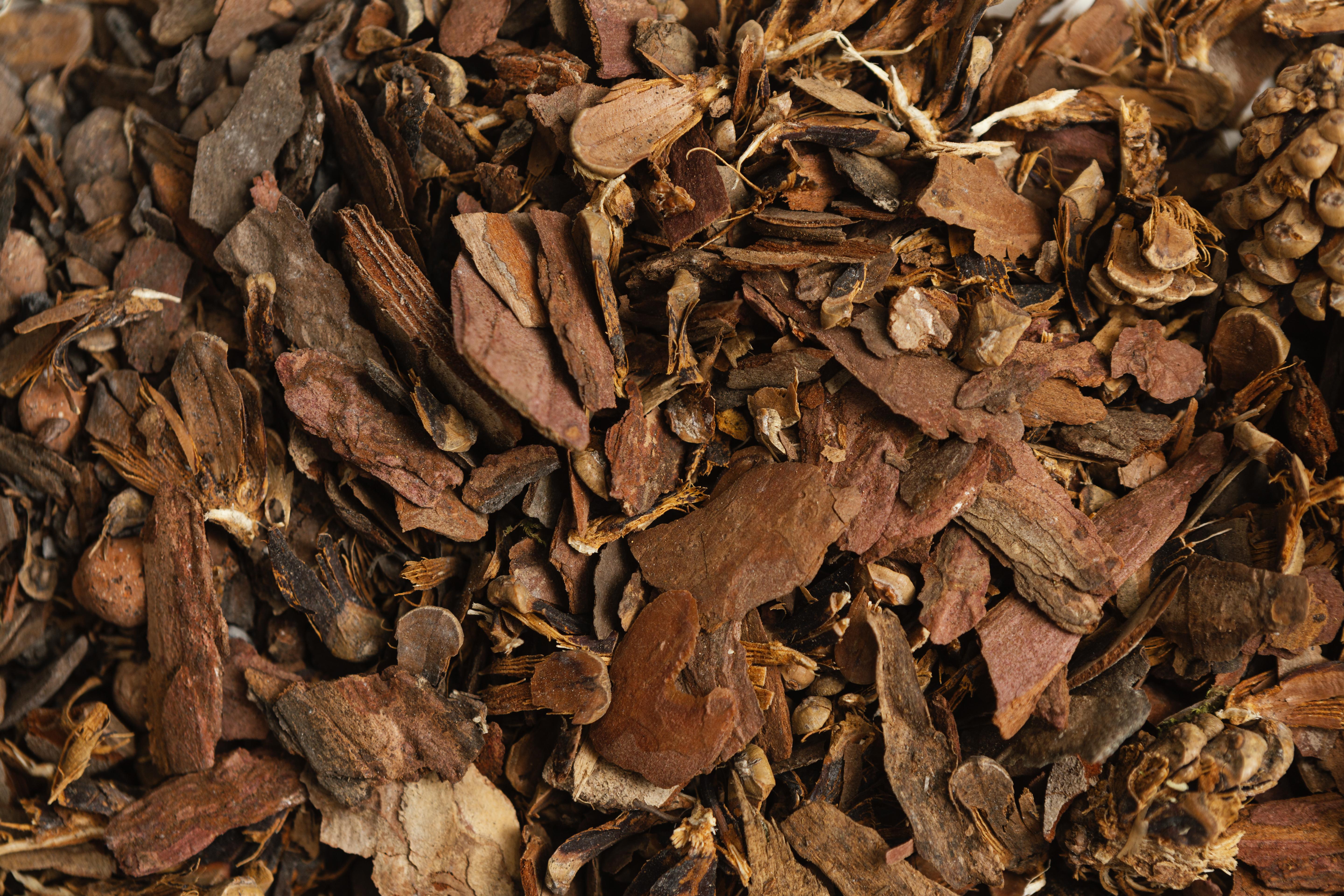 A Moment of Calm – Unwinding with Pau D’Arco Bark Tea